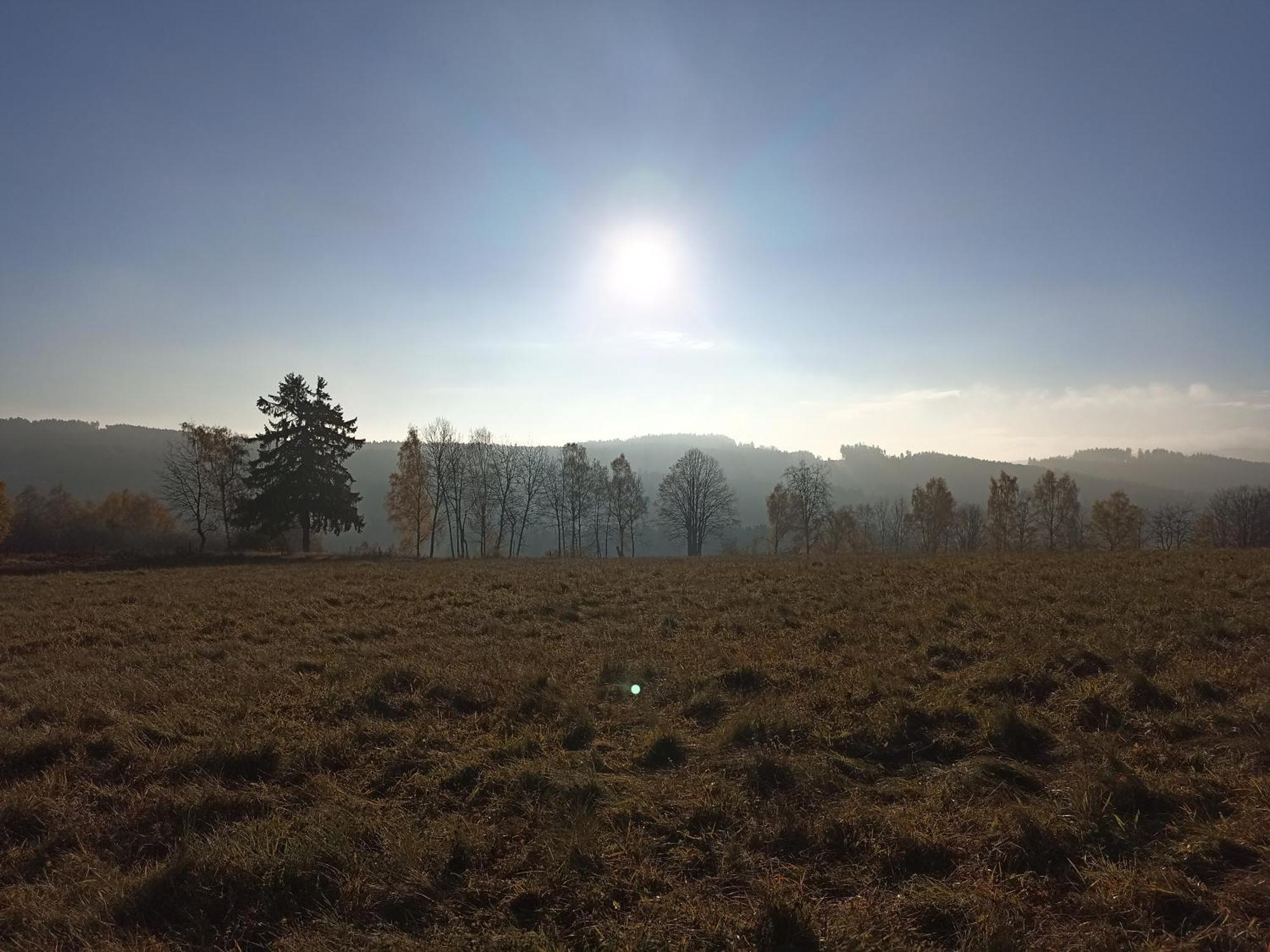 Chalupa V Ceskem Lese Bela nad Radbuzou Exteriér fotografie