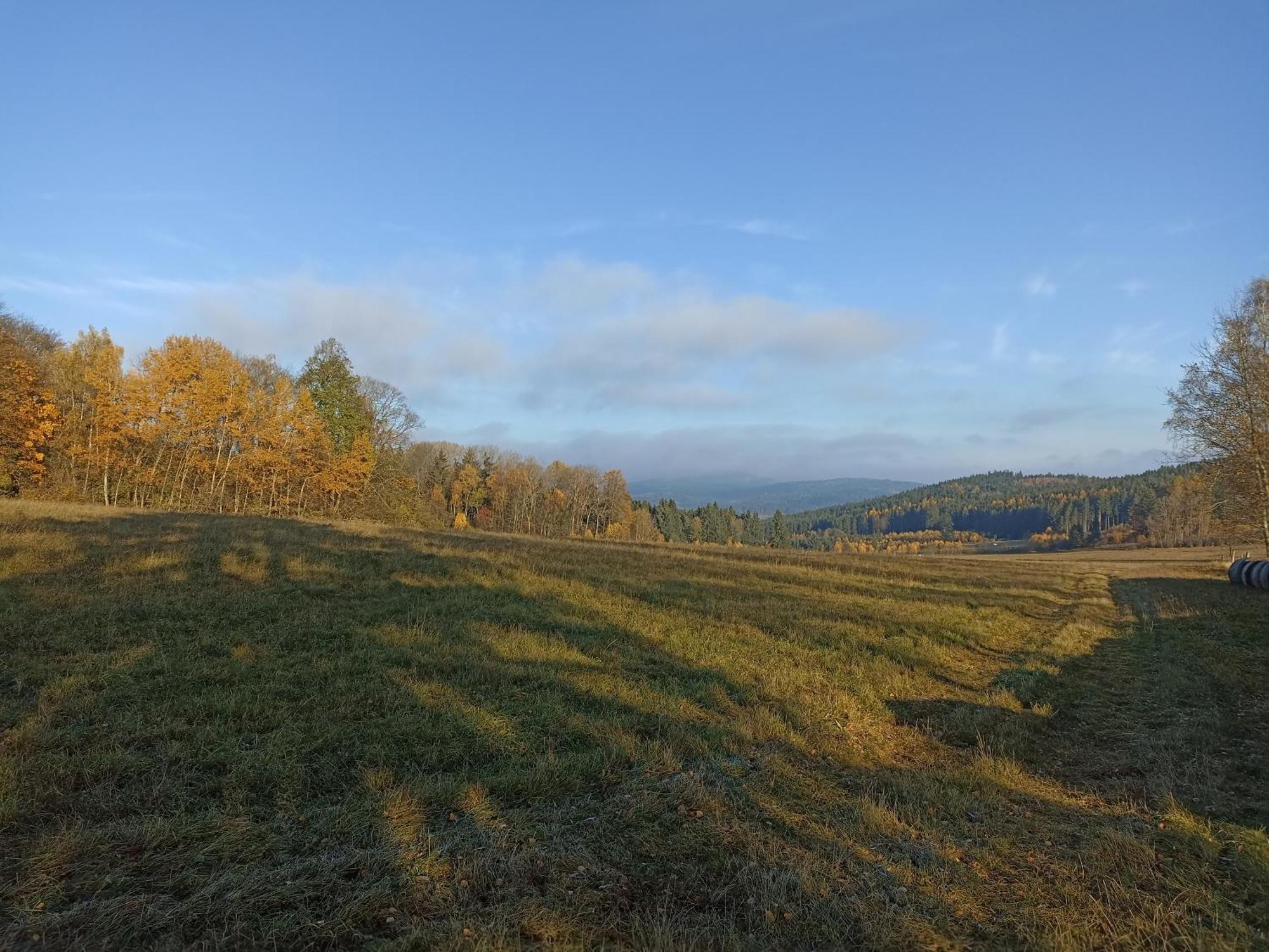 Chalupa V Ceskem Lese Bela nad Radbuzou Exteriér fotografie